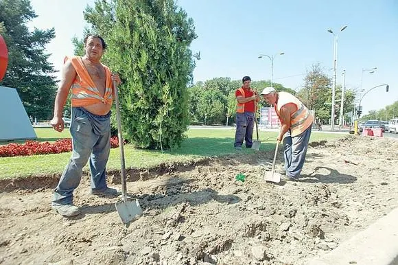 Dorel, NE MIȘCAM MAI CU TALENT?