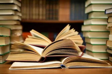 PLAGIAT SAU EDUCAȚIE?