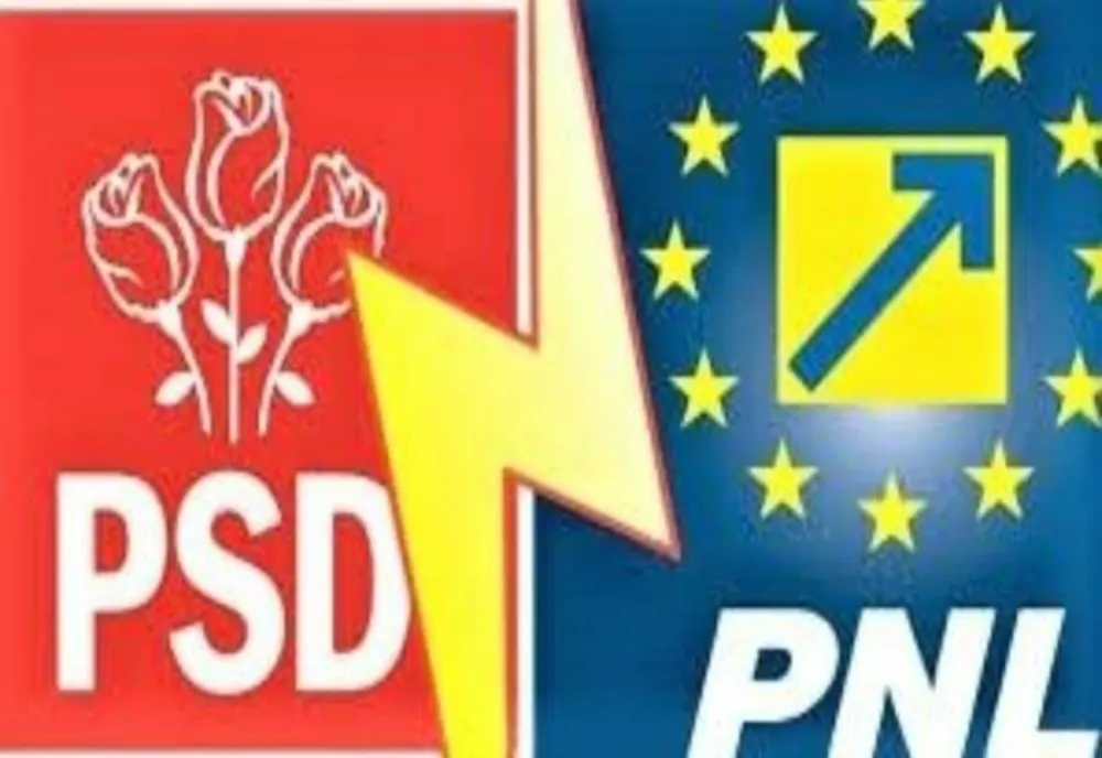Tinerii liberali au trimis pesediștilor din nou plăcuța suedeză