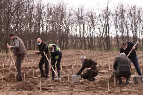 NE SAPA CINEVA GROAPA?
