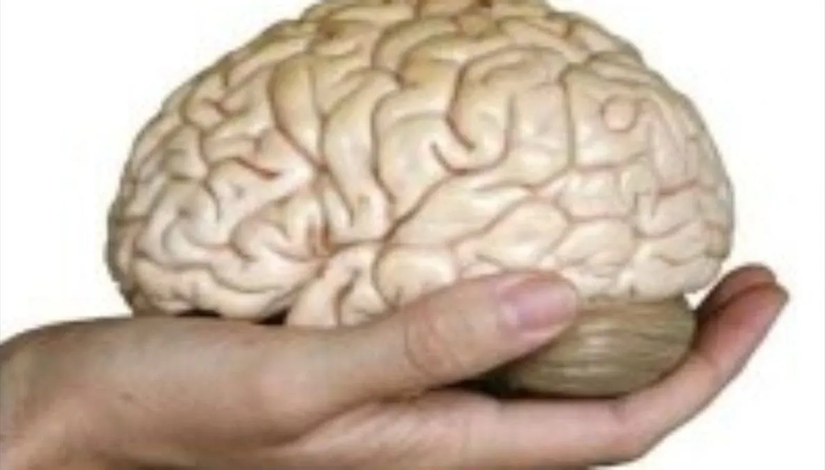 CARANTINA NAȚIONALA SAU CARANTINA CEREBRALA?