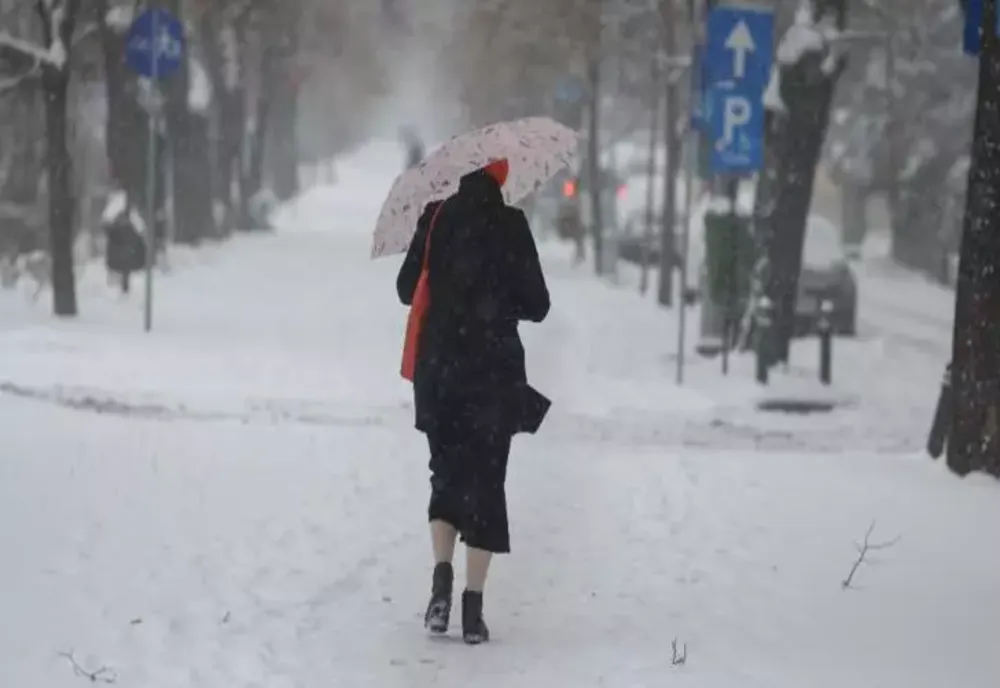 Primăria Sectorului 1 reziliază contractul cu Romprest. Mafia gunoaielor pierde contractul de milioane de euro după ce a lăsat Capitala în dezastru