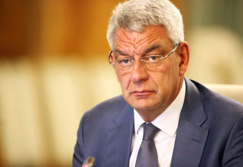 Mihai Tudose: Ursul Artur, omorât cu complicitatea structurilor guvernamentale