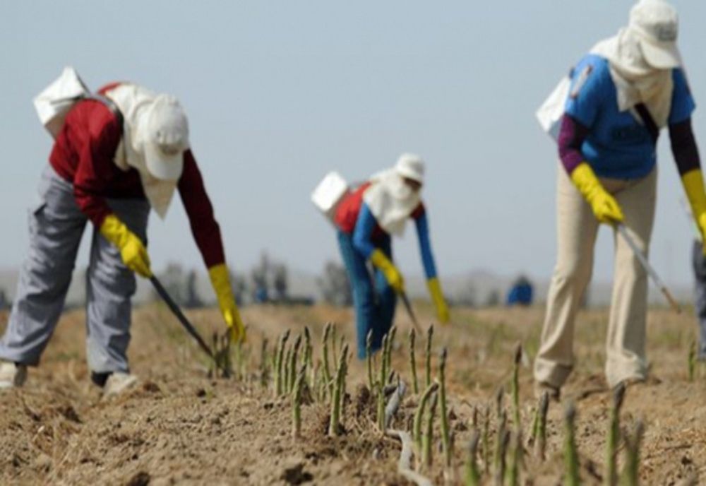 Inițiativa PSD a salariului minim a trecut prin Parlamentul european