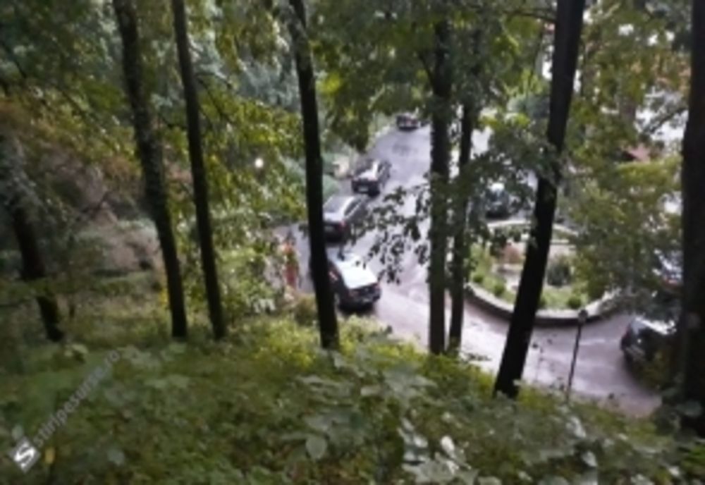 PSD sparge damigeana liberala