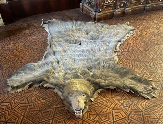 Adrian Năstase a descoperit blana străbunicului lui Arthur