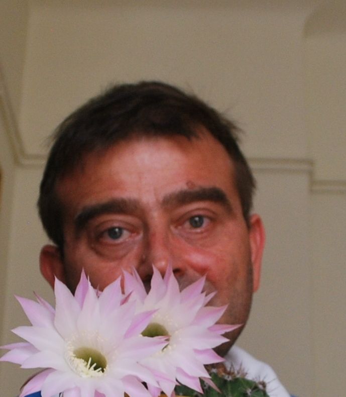 Ciolacu recunoaște că e omul sistemului