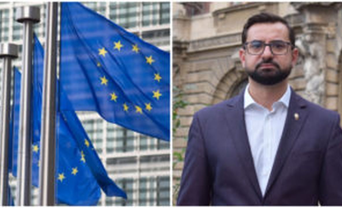 Fronda lui Chesnoiu de la Bruxelles