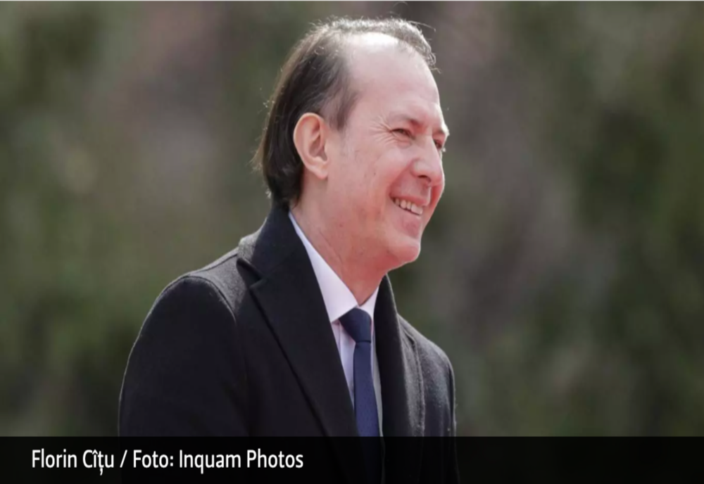 Relația ocultă dintre directorul Transelectrica și averea familiei Cîțu. Un deputat PSD acuză - Odiseea pădurii de la Voineasa