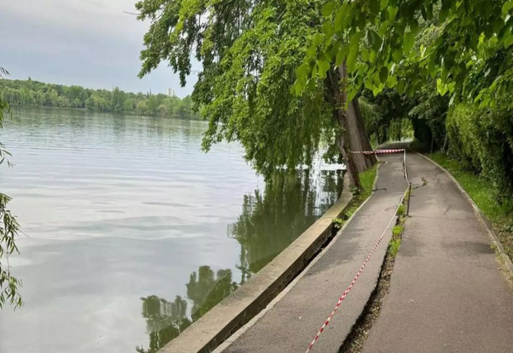 Gabriela Firea: Parcurile Capitalei sunt abandonate! Au nevoie mâna unui gospodar