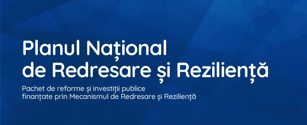 pnrr 21