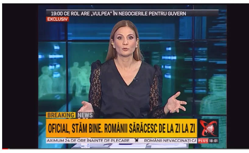 anca alexandrescu