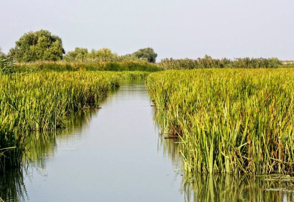 Când politica ajunge la Periprava