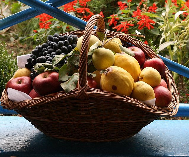 ziua_legumicultorului_19_cos_legume_483390719