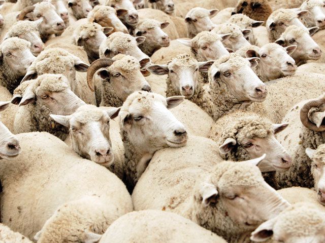 3B63630E-D1CA-49AC-9CD4-DAA65ECF771F