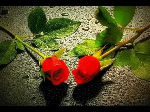 EA1BA1A8-103B-4E0C-B862-7363A2453F78