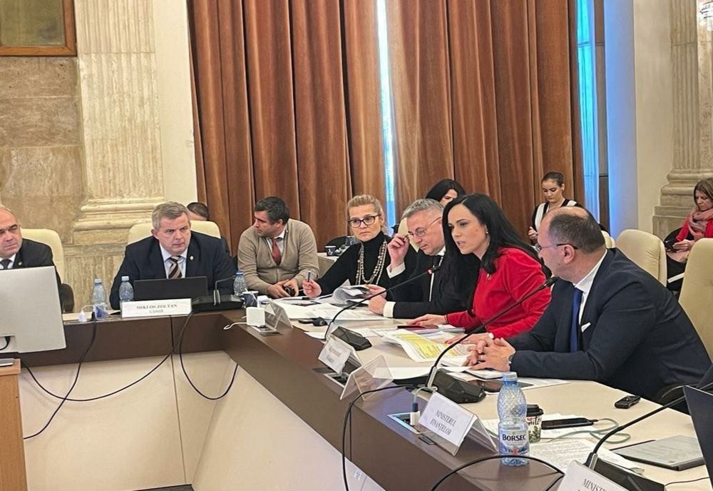 Bugetul Ministerului Muncii a fost aprobat în comisiile din Parlament