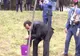Guvernul repornește doar ce e deja pornit