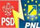 Tinerii liberali au trimis pesediștilor din nou plăcuța suedeză