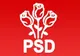 Începe competiția interna în PSD